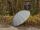 iX-brella long - hochwertiger Stockschirm 16-teilig mit Automatik sturmfest grau