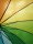 iX-brella long rainbow 16-color - Stockschirm 16-teilig mit Automatik Regenbogen