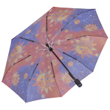 Taschenschirm Auf-Zu-Automatik UV-Protection Rosina Wachtmeister Sole
