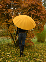 iX-brella long - hochwertiger Stockschirm 16-teilig mit Automatik sturmfest orange