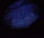 iX-brella Regenschirm Star Sign mit reflektierenden Sternbildern