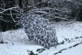 iX-brella XXL Automatik Golfschirm mit Fiberglas Gestell - Camouflage - stone