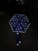 Knirps Kinder-Taschenschirm 4Kids reflective mit reflektierenden Dinos - All Around