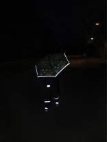 Knirps Kinder-Taschenschirm 4Kids reflective mit Reflexborte - Dinos Fluorescent
