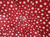 Knirps Taschenschirm Slim Duomatic Auf-Zu-Automatik Dots - rot