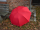 iX-brella XXL 124cm Fiberglas Golf-Taschenschirm mit Automatik - dark red
