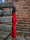 iX-brella XXL 124cm Fiberglas Golf-Taschenschirm mit Automatik - dark red