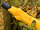 iX-brella XXL 124cm Fiberglas Golf-Taschenschirm mit Automatik - yellow