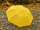 iX-brella XXL 124cm Fiberglas Golf-Taschenschirm mit Automatik - yellow