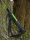 iX-brella XXL 124cm Fiberglas Golf-Taschenschirm mit Automatik - neon green