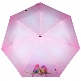 Knirps Taschenschirm Slim Duomatic Auf-Zu-Automatik Rainbow Kanaris