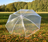 iX-brella XXL Brautschirm Hochzeitsschirm Automatik - All In White transparent