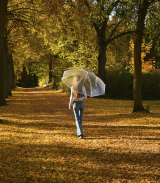 iX-brella XXL Brautschirm Hochzeitsschirm Automatik - All In White transparent - 2. Wahl