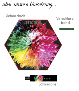 Taschenschirm leicht | Auf-Zu-Automatik | 6 Streben aus...