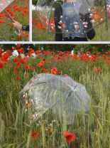 Doppler edler transparenter Regenschirm mit Automatik - Floral Dreams