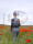 Doppler edler transparenter Regenschirm mit Automatik - Floral Dreams