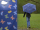 iX-brella Automatik Kinderschirm Safety Reflex extra leicht mit Farbänderung bei Nässe - Schmetterlinge