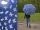 iX-brella Automatik Kinderschirm Safety Reflex extra leicht mit Farbänderung bei Nässe - Schmetterlinge
