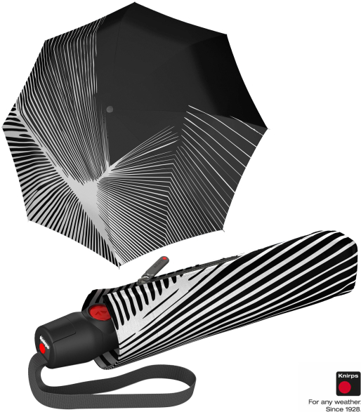 Knirps Taschenschirm T.200 Duomatic thunder storm