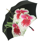 Doppler Manufaktur Regenschirm Elegance Noblesse Orchidee
