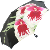 Doppler Manufaktur VIP Damen Taschenschirm Auf-Zu...