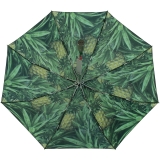 M&P Damen Taschenschirm Regenschirm stabil Auf-Zu-Automatik Fotografico - Ananas