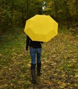 iX-brella first class Automatik - stabiler großer...