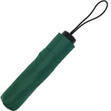 RS-Mini Taschenschirm für Damen und Herren manual Handöffner grün