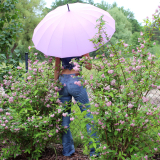 iX-brella long - hochwertiger Stockschirm 16-teilig mit Automatik sturmfest