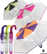 Cachemir Regenschirm Taschenschirm transparent mit farbigem Einfassband