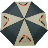 Regenschirm Taschenschirm Mini mit Auf-Zu-Automatik Love Bird